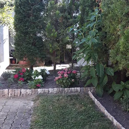 Lazar * Hévíz